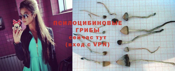 MESCALINE Богданович